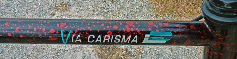 1999 Univedga Carisma Comfort Hybrid Bike Frame Medium 55cm Chromoly USA Charity 
